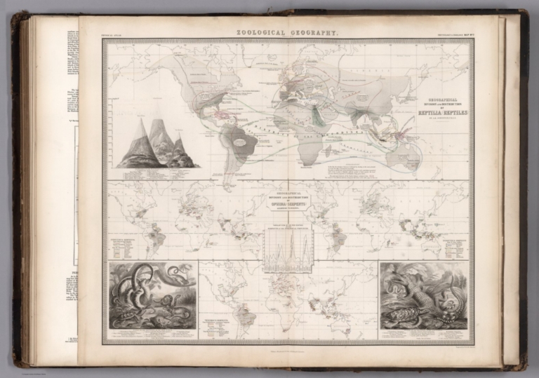 Zoological Geography. The Geographical Division and Distribution of Reptilia (Reptiles) ... Ophidia (Serpents).
